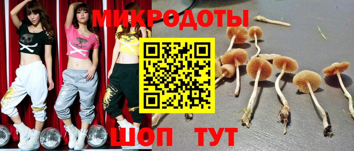 Псилоцибиновые грибы Magic Shrooms  Вход с VPN  Звенигород 